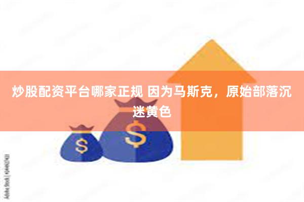 炒股配资平台哪家正规 因为马斯克，原始部落沉迷黄色