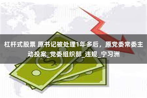 杠杆式股票 原书记被处理1年多后，原党委常委主动投案_党委组织部_违规_宁习洲