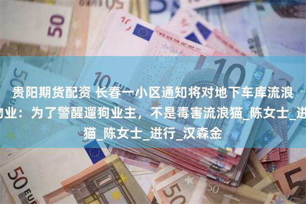 贵阳期货配资 长春一小区通知将对地下车库流浪猫投药，物业：为了警醒遛狗业主，不是毒害流浪猫_陈女士_进行_汉森金