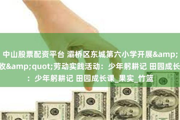 中山股票配资平台 灞桥区东城第六小学开展&quot;耘园夏收&quot;劳动实践活动：少年躬耕记 田园成长课_果实_竹篮