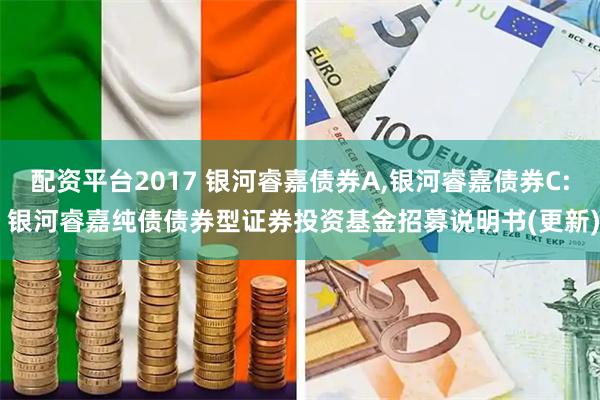 配资平台2017 银河睿嘉债券A,银河睿嘉债券C: 银河睿嘉纯债债券型证券投资基金招募说明书(更新)