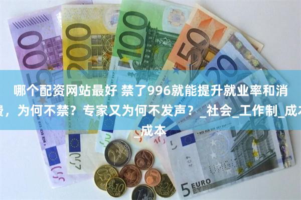哪个配资网站最好 禁了996就能提升就业率和消费，为何不禁？专家又为何不发声？_社会_工作制_成本