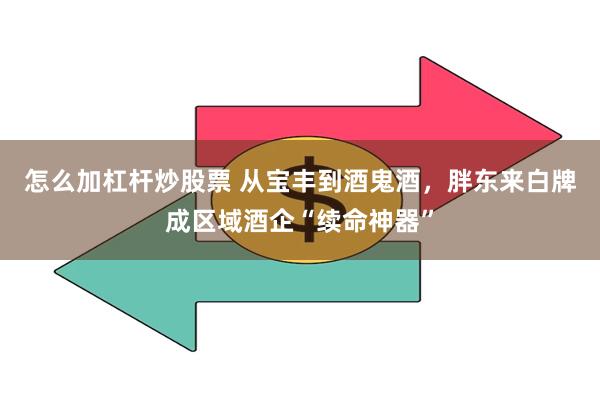 怎么加杠杆炒股票 从宝丰到酒鬼酒，胖东来白牌成区域酒企“续命神器”