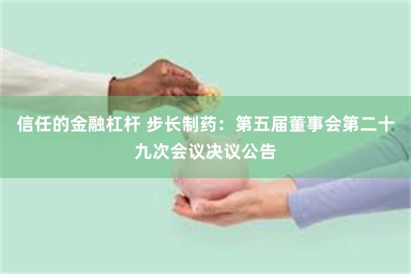 信任的金融杠杆 步长制药:第五届董事会第二十九次会议决议公告