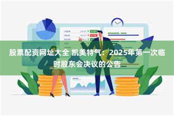 股票配资网址大全 凯美特气：2025年第一次临时股东会决议的公告