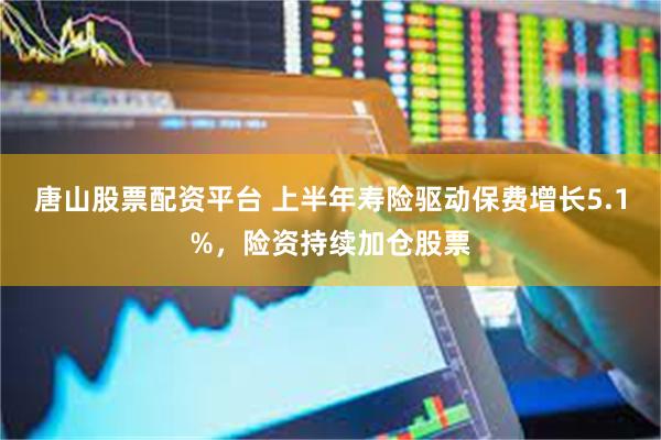 唐山股票配资平台 上半年寿险驱动保费增长5.1%，险资持续加仓股票